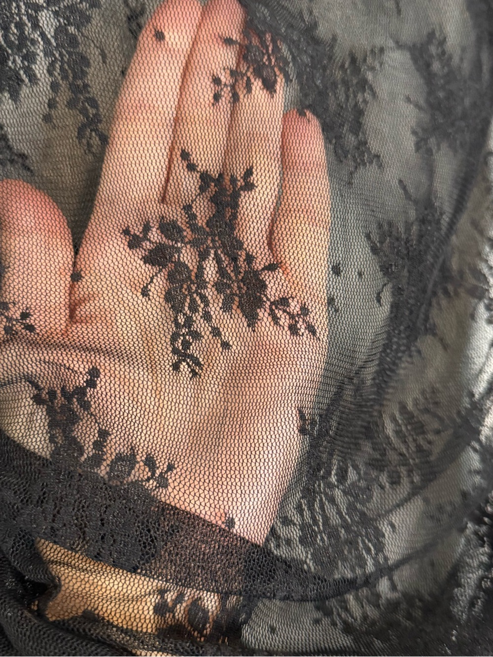 Hem & Thread Sheer Black Lace Sleeveless Top - Elegant Layering Piece - Picture 2 of 5